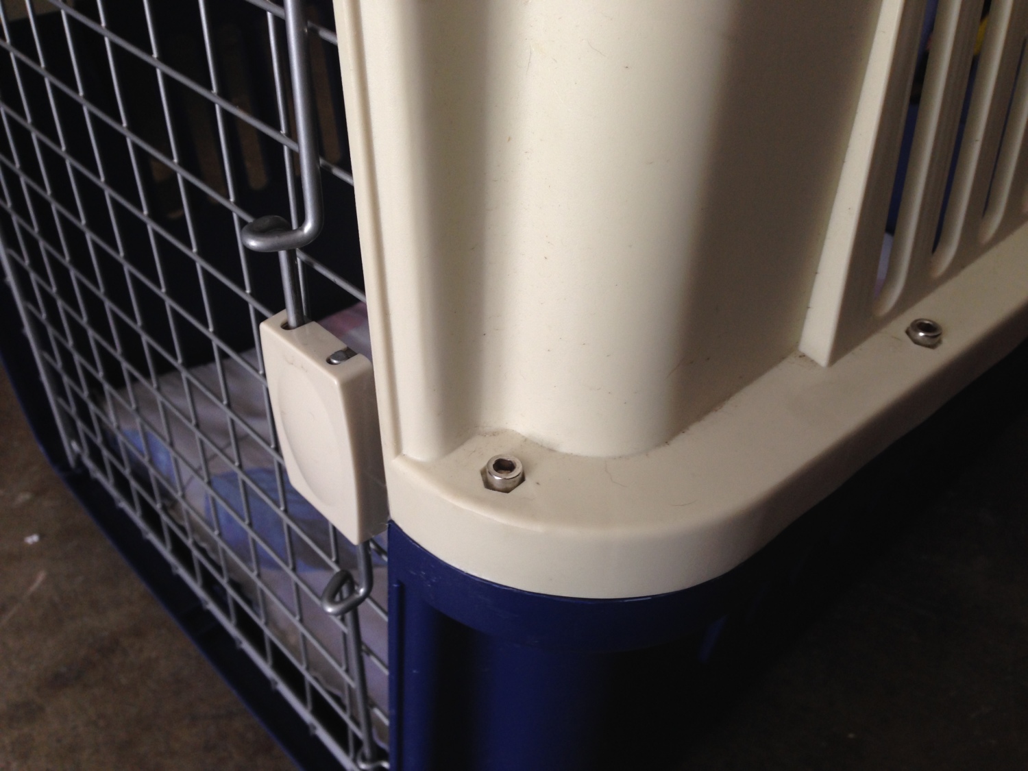 Importing a dog from Europe: dog airline travel accessories and information