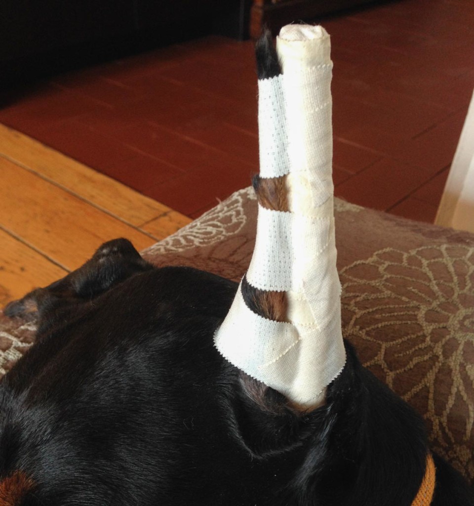 Ear posting with tampons modified method for heavy ears