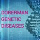 Доберман генетске болести
