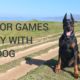 Outdoor games to play with your dog